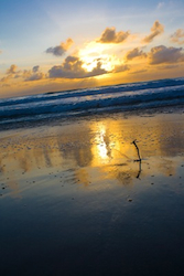 San Diego Sunset
