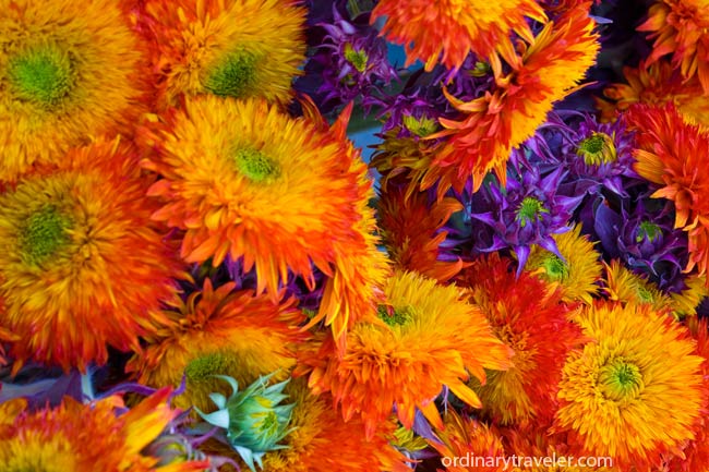 Farmers Market Flowers
