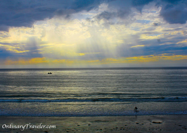San Diego Surfer