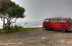 VW Bus Humboldt