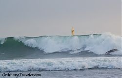 California South Swell 2011