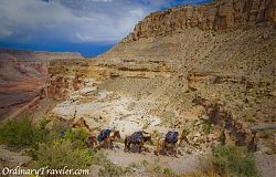 Havasupai Reservation - Hike to Havasu Falls