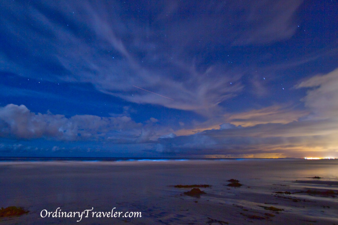 Night Photography - Red Tide Bioluminescence