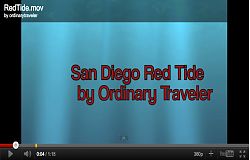 Red Tide San Diego