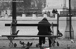 Paris - Man on Bench