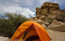 Indian Cove Campground - Joshua Tree