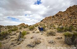 Joshua Tree Indian Cove Hiking
